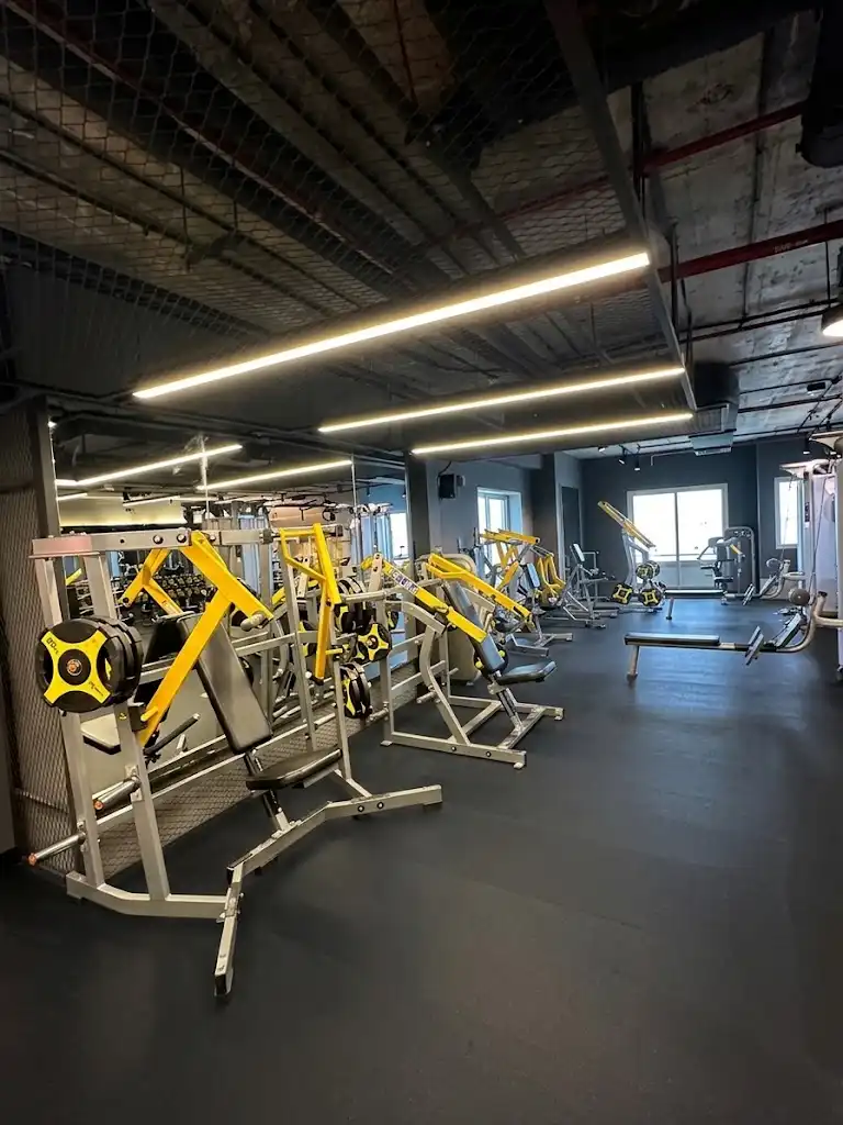 Yellow cable and rig stations on the training floor