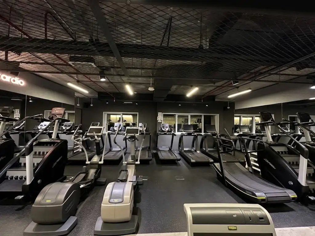 Row of treadmills and cardio machines on the cardio deck