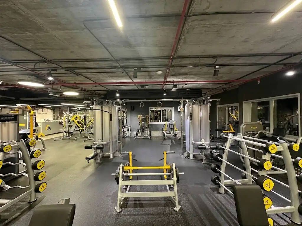 The strength floor at Fitness Avenue, with cable machines, dumbbell rack and bench